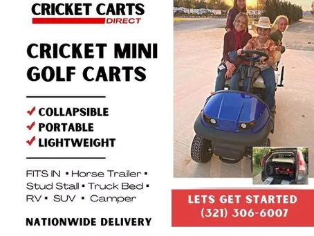 Cricket cart infographic