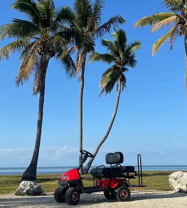 Red cart