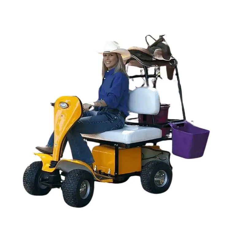 Person sitting on a cricket cart