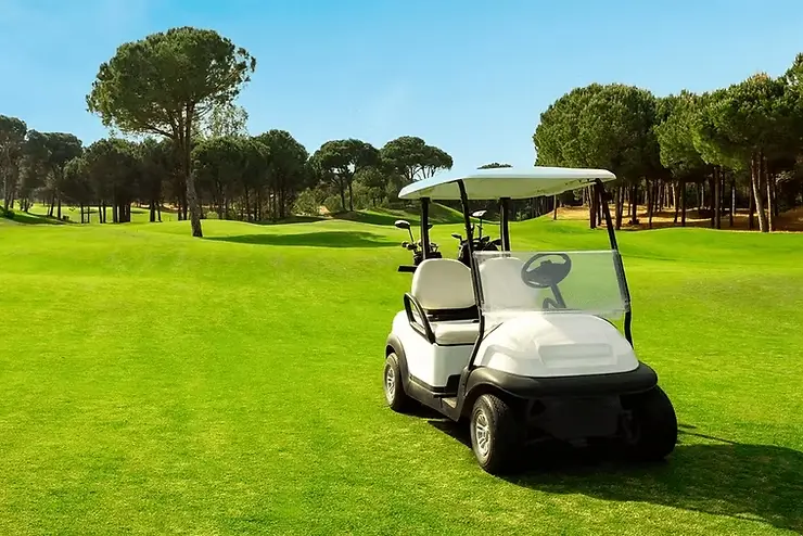 White cricket cart