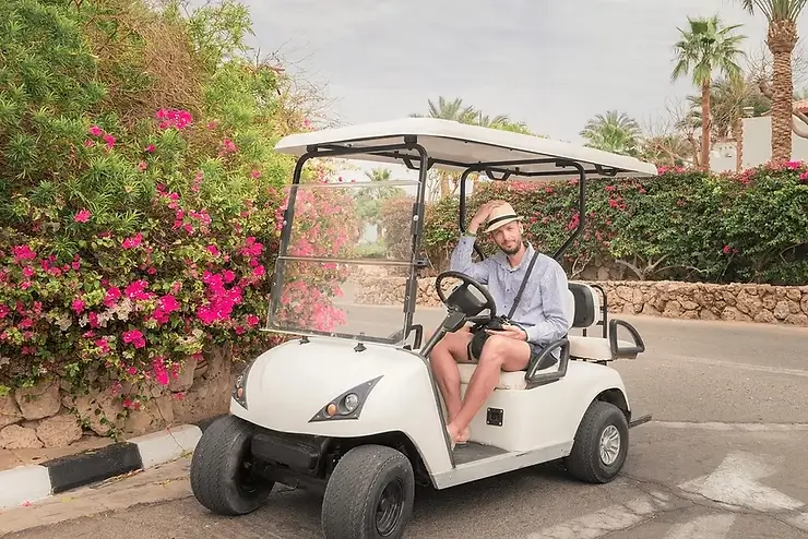 Person sitting on a golf cart